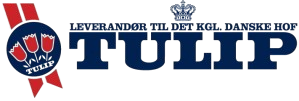 tulip-removebg-preview